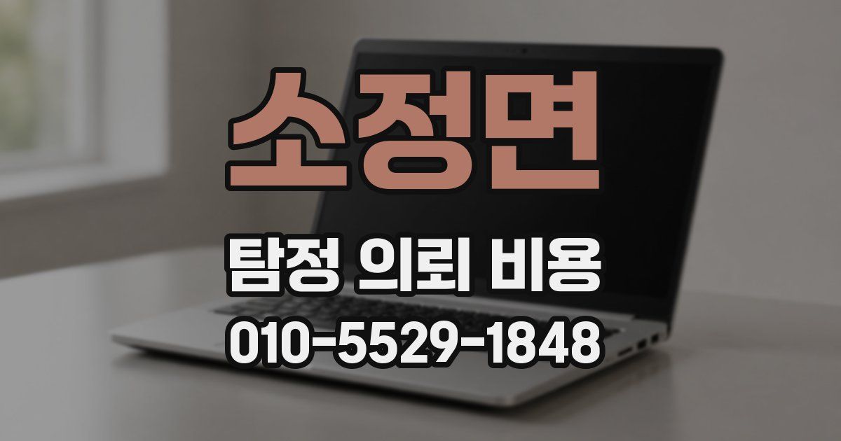 소정면 탐정 의뢰 비용