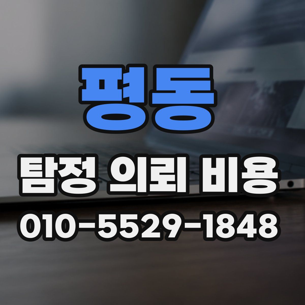 평동 탐정 의뢰 비용