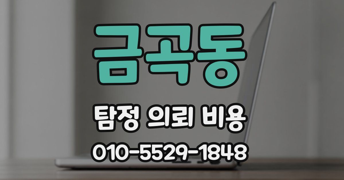 금곡동 탐정 의뢰 비용
