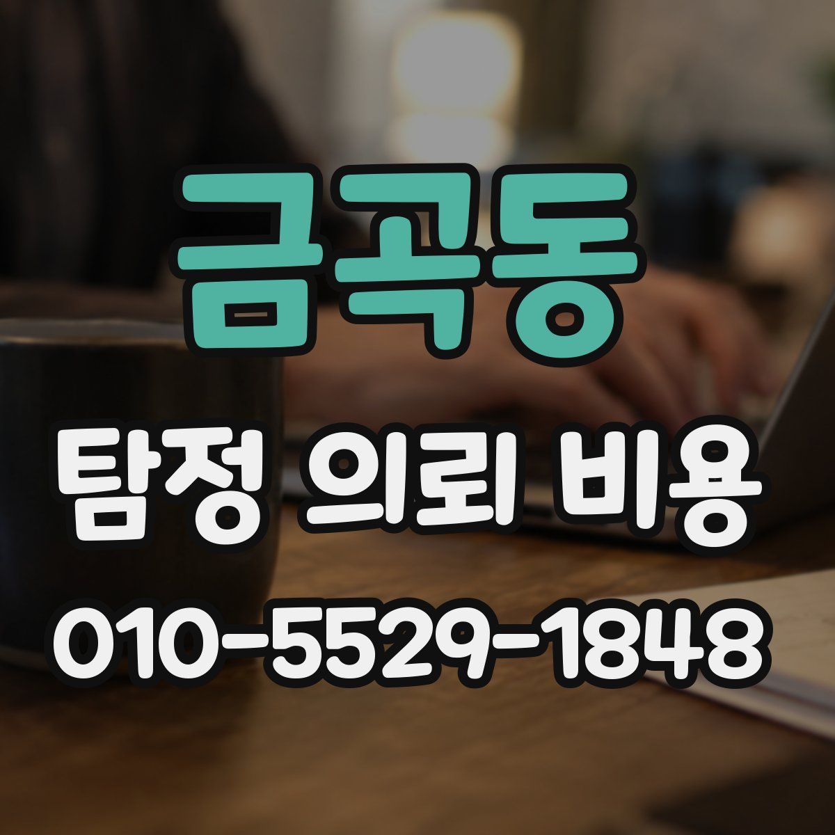 금곡동 탐정 의뢰 비용