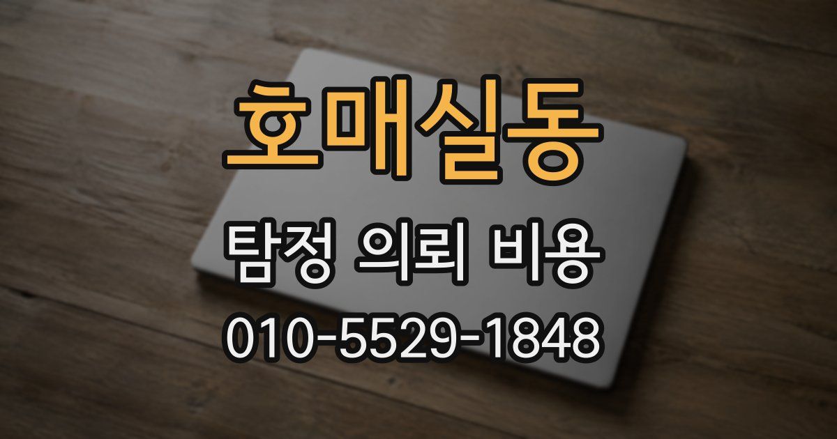 호매실동 탐정 의뢰 비용