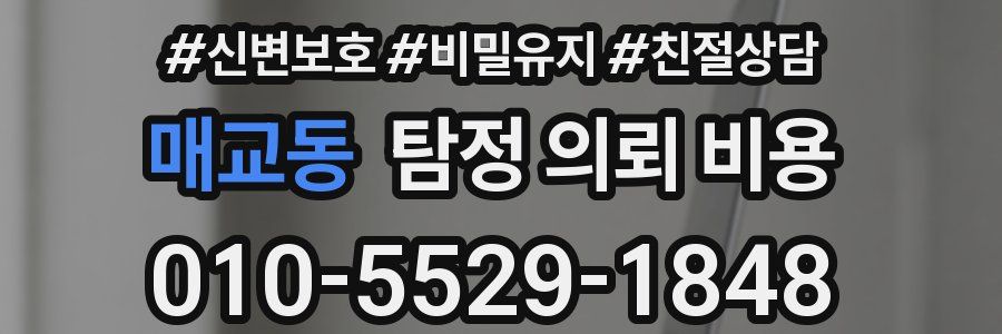 매교동 탐정 의뢰 비용