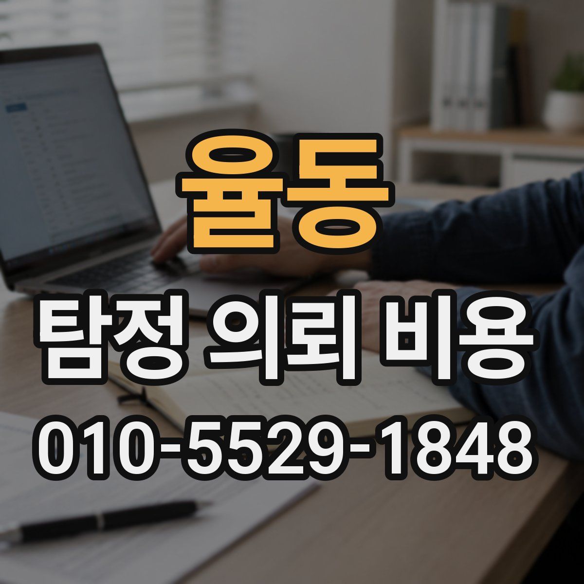 율동 탐정 의뢰 비용