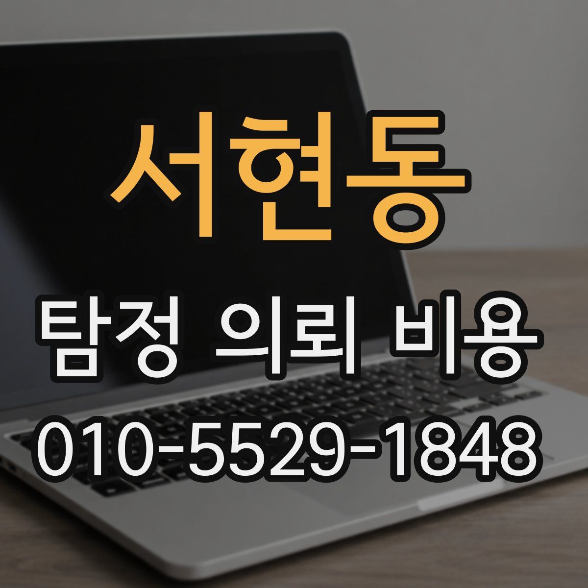 서현동 탐정 의뢰 비용