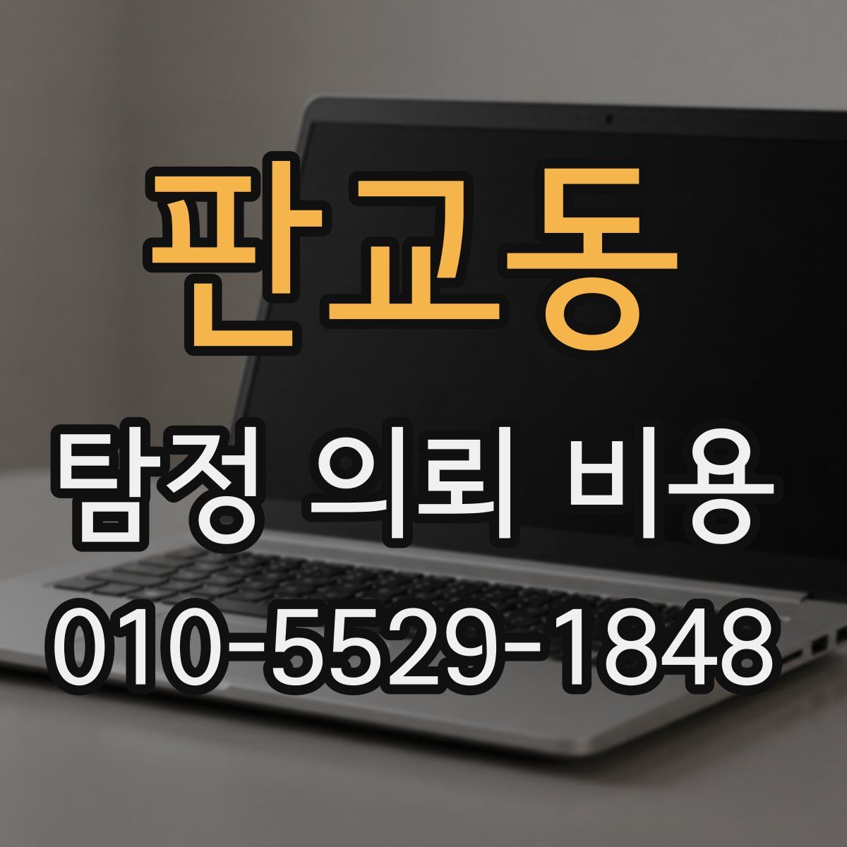 판교동 탐정 의뢰 비용