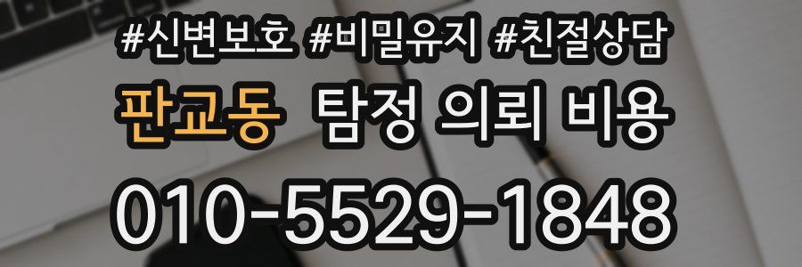 판교동 탐정 의뢰 비용