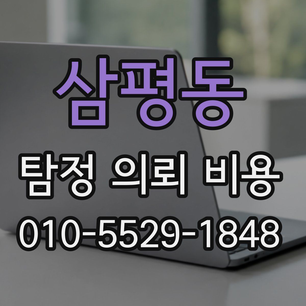 삼평동 탐정 의뢰 비용