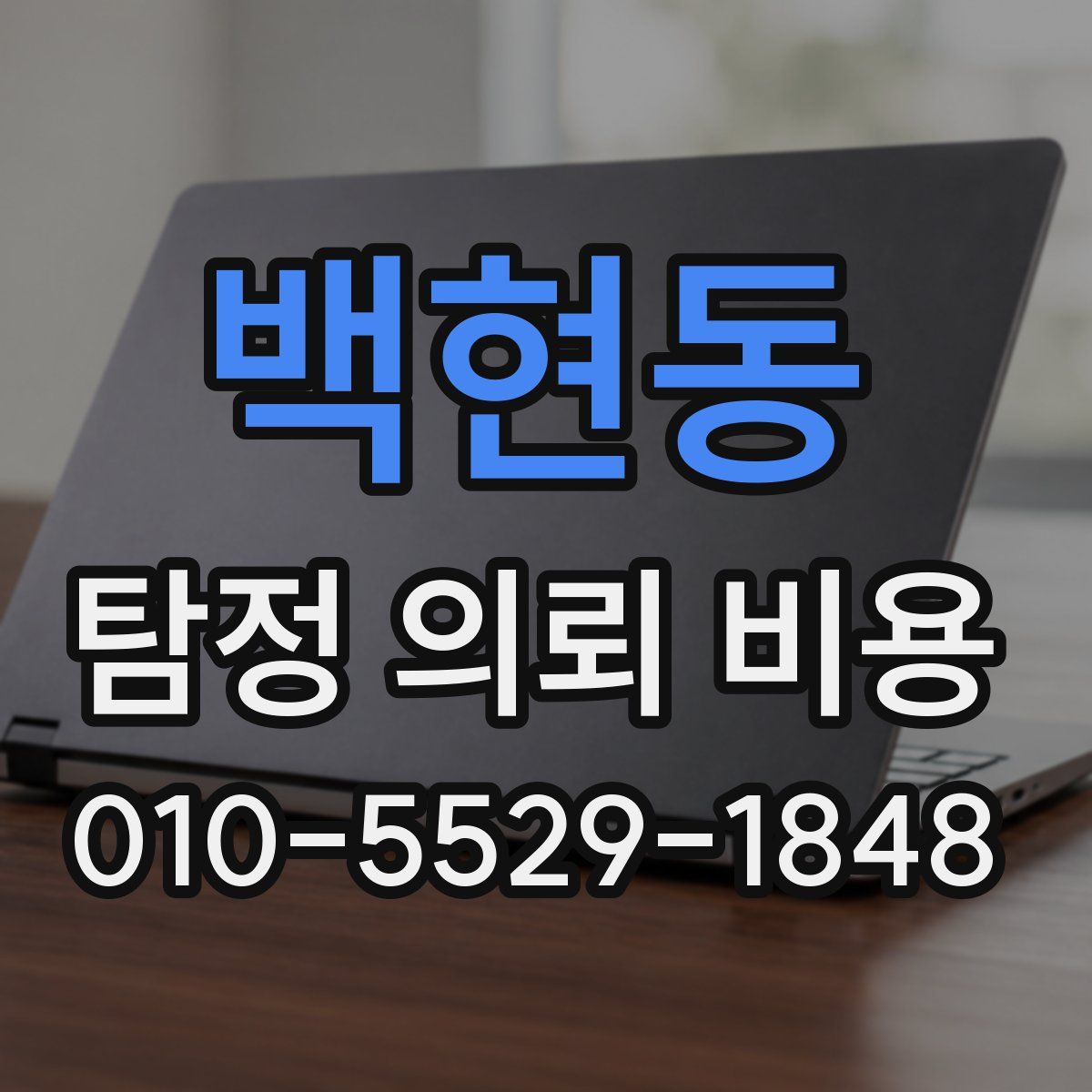 백현동 탐정 의뢰 비용