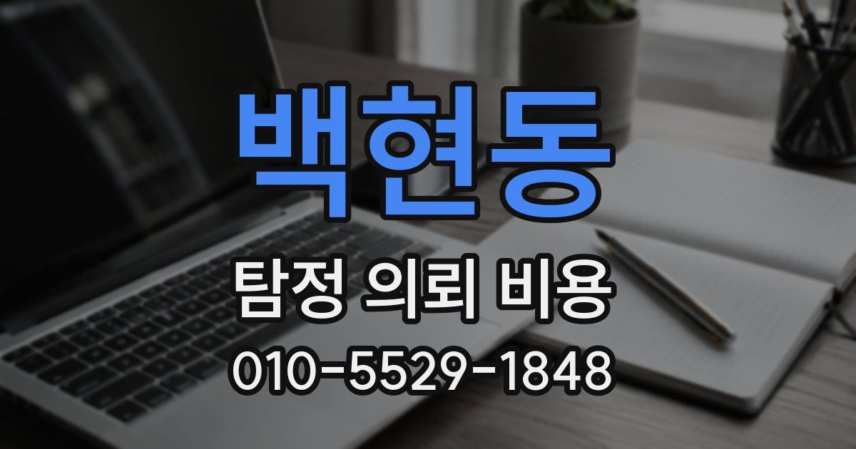 백현동 탐정 의뢰 비용