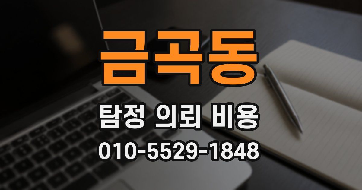 금곡동 탐정 의뢰 비용