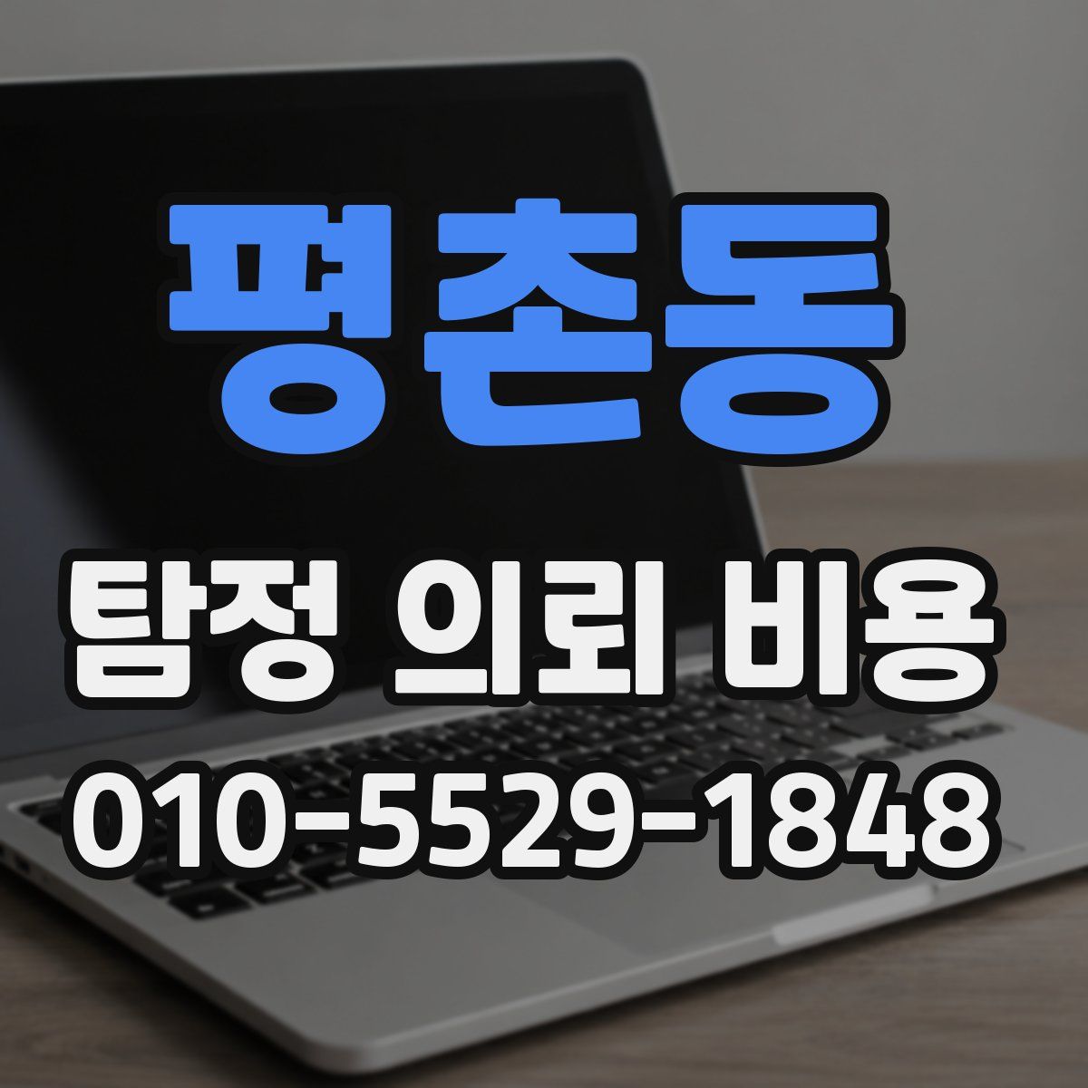 평촌동 탐정 의뢰 비용