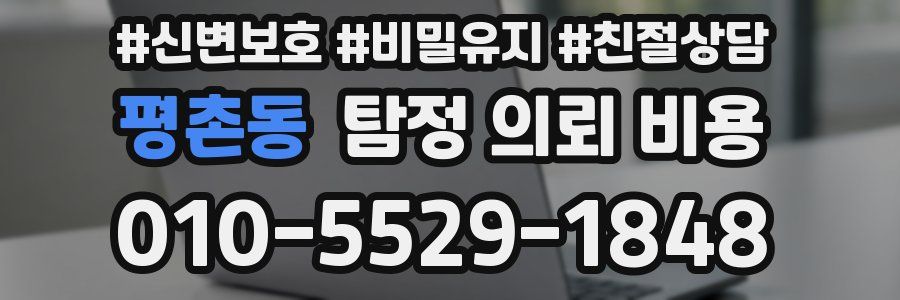 평촌동 탐정 의뢰 비용