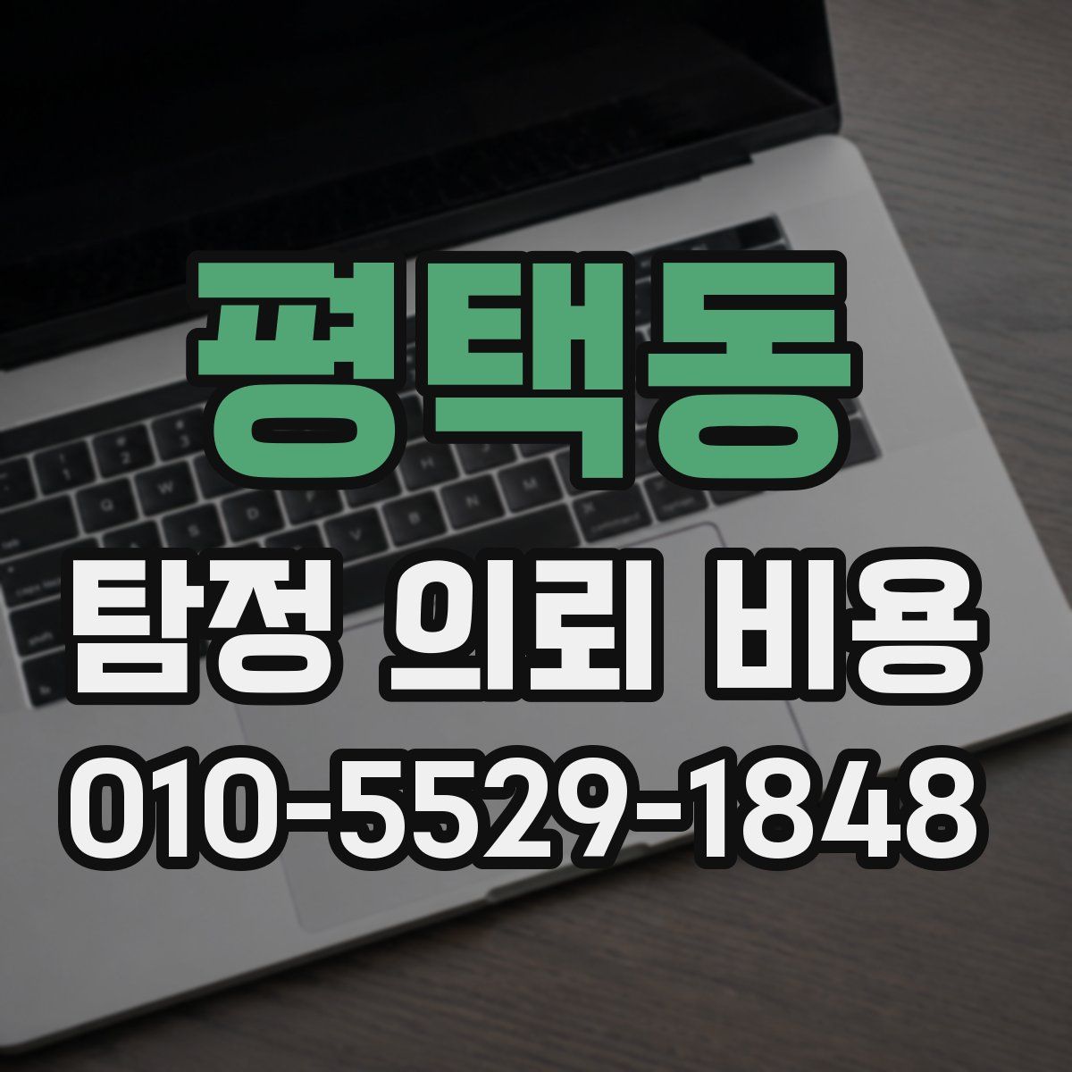평택동 탐정 의뢰 비용