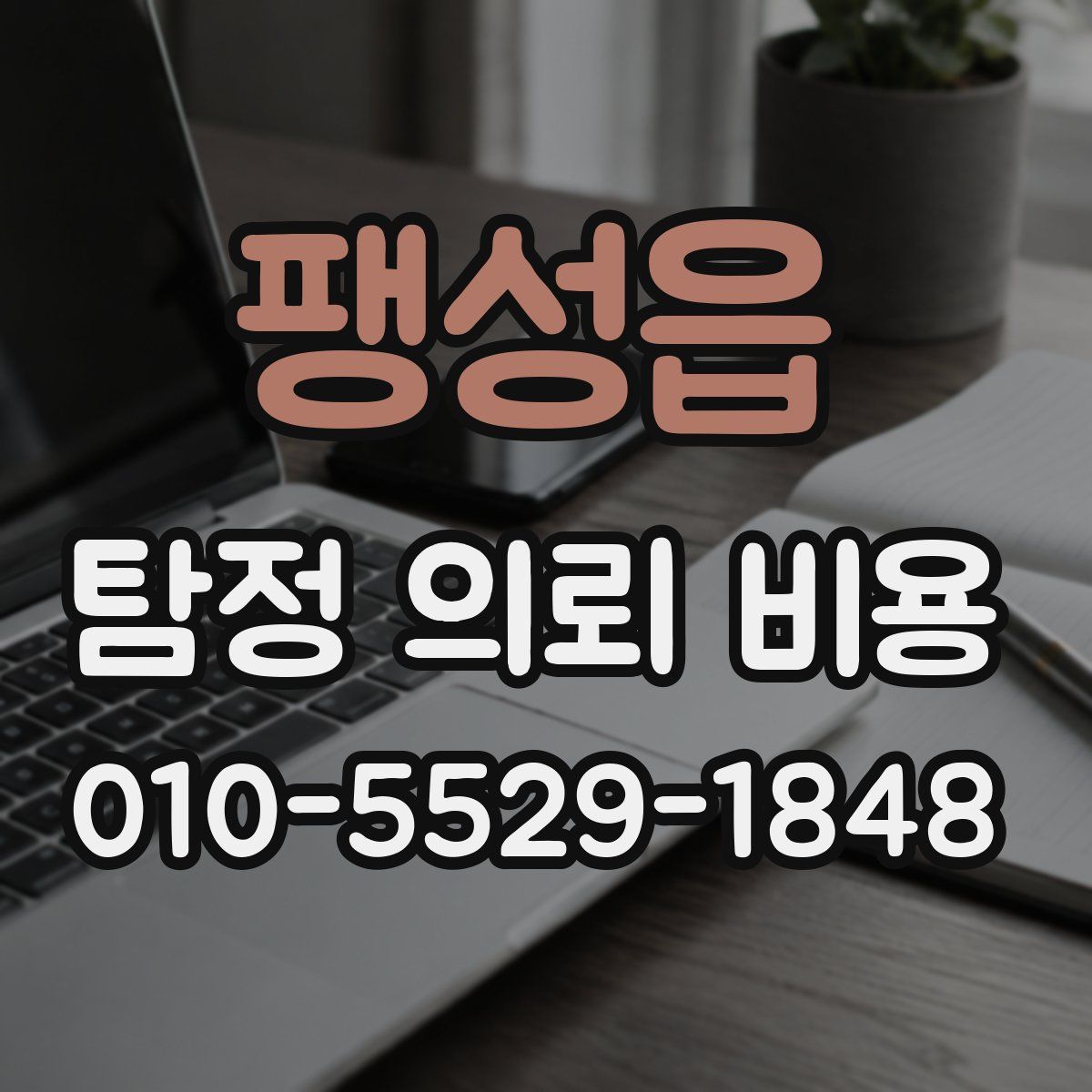 팽성읍 탐정 의뢰 비용