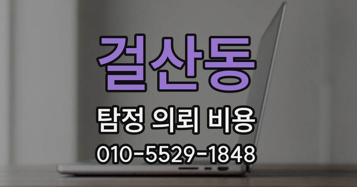 걸산동 탐정 의뢰 비용