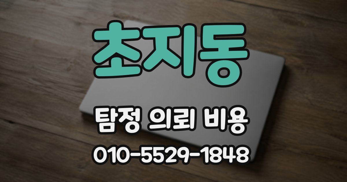 초지동 탐정 의뢰 비용