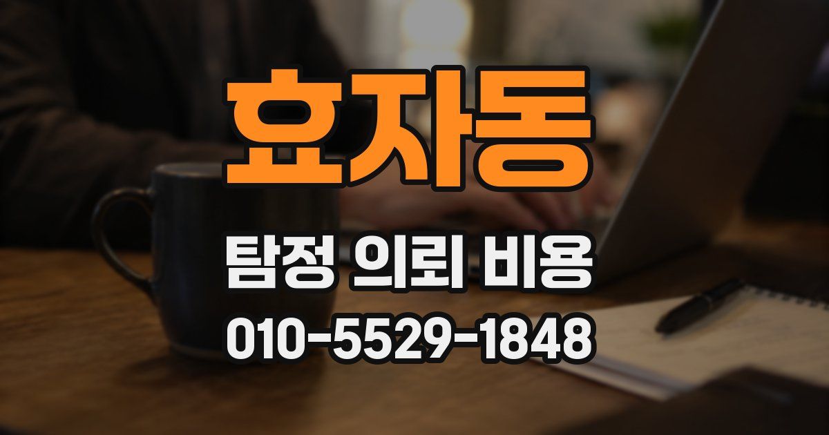 효자동 탐정 의뢰 비용