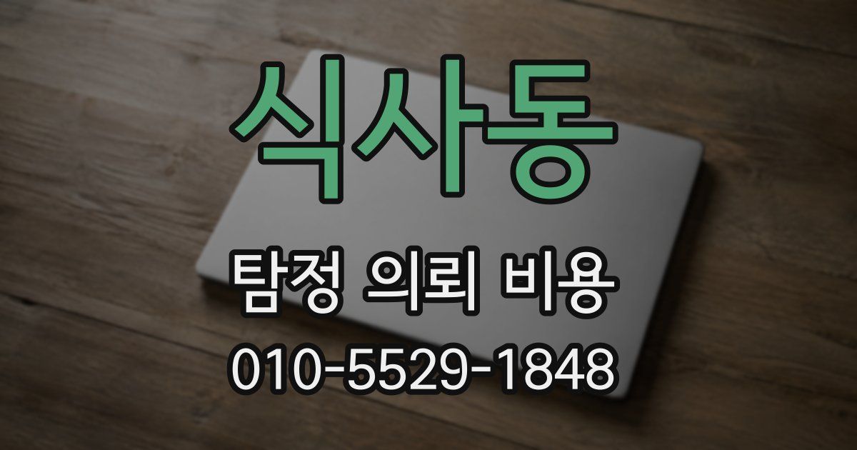 식사동 탐정 의뢰 비용
