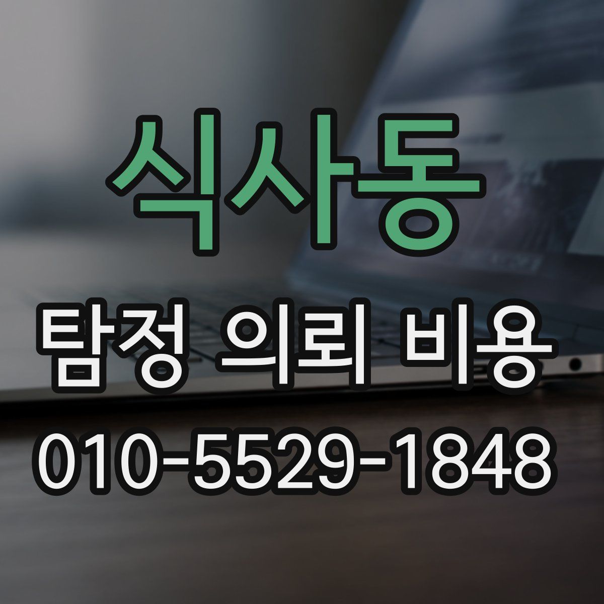 식사동 탐정 의뢰 비용
