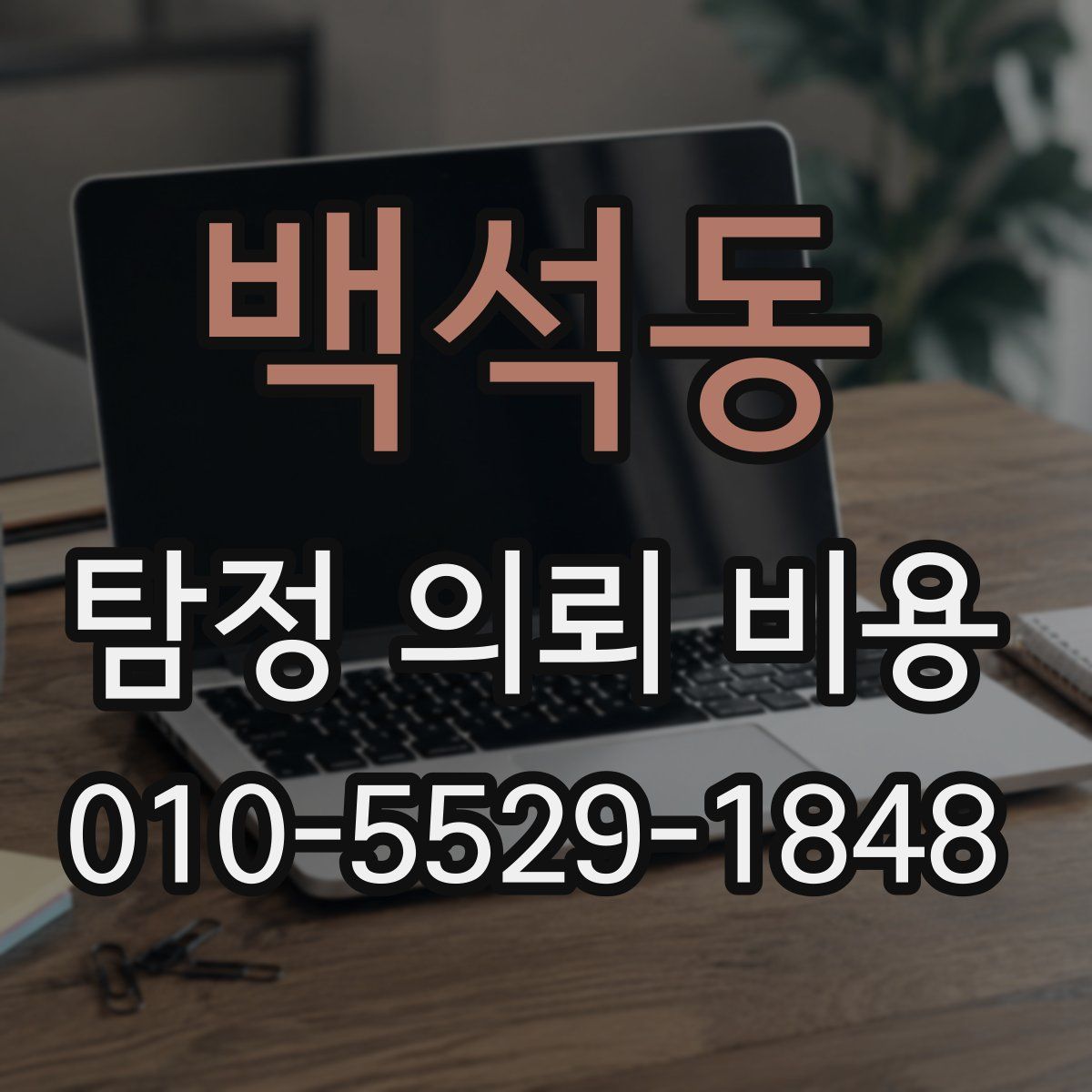 백석동 탐정 의뢰 비용