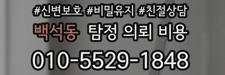백석동 탐정 의뢰 비용