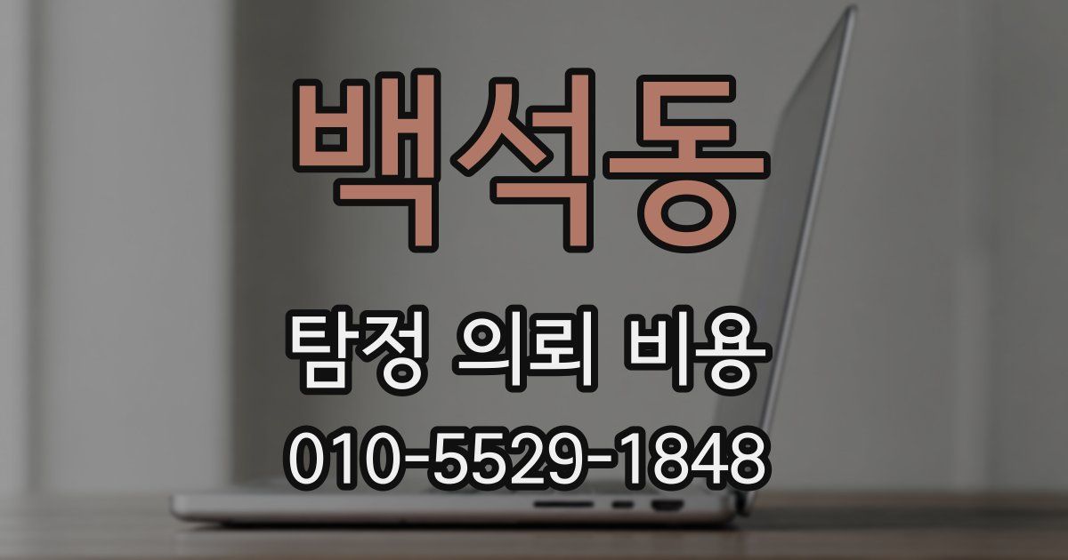 백석동 탐정 의뢰 비용