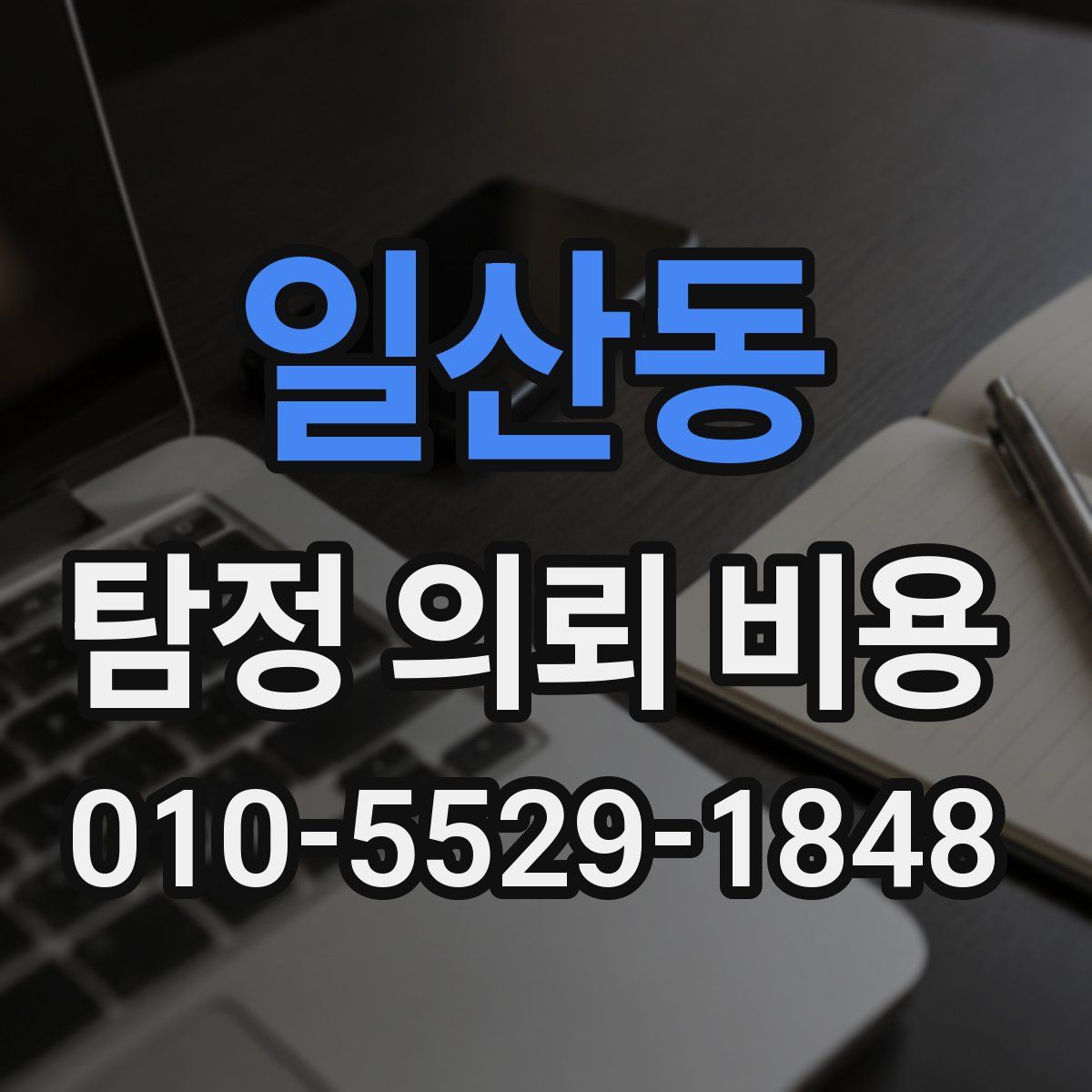 일산동 탐정 의뢰 비용