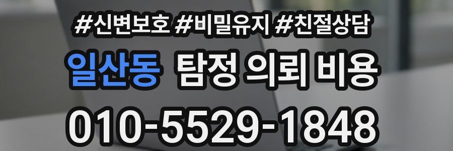 일산동 탐정 의뢰 비용
