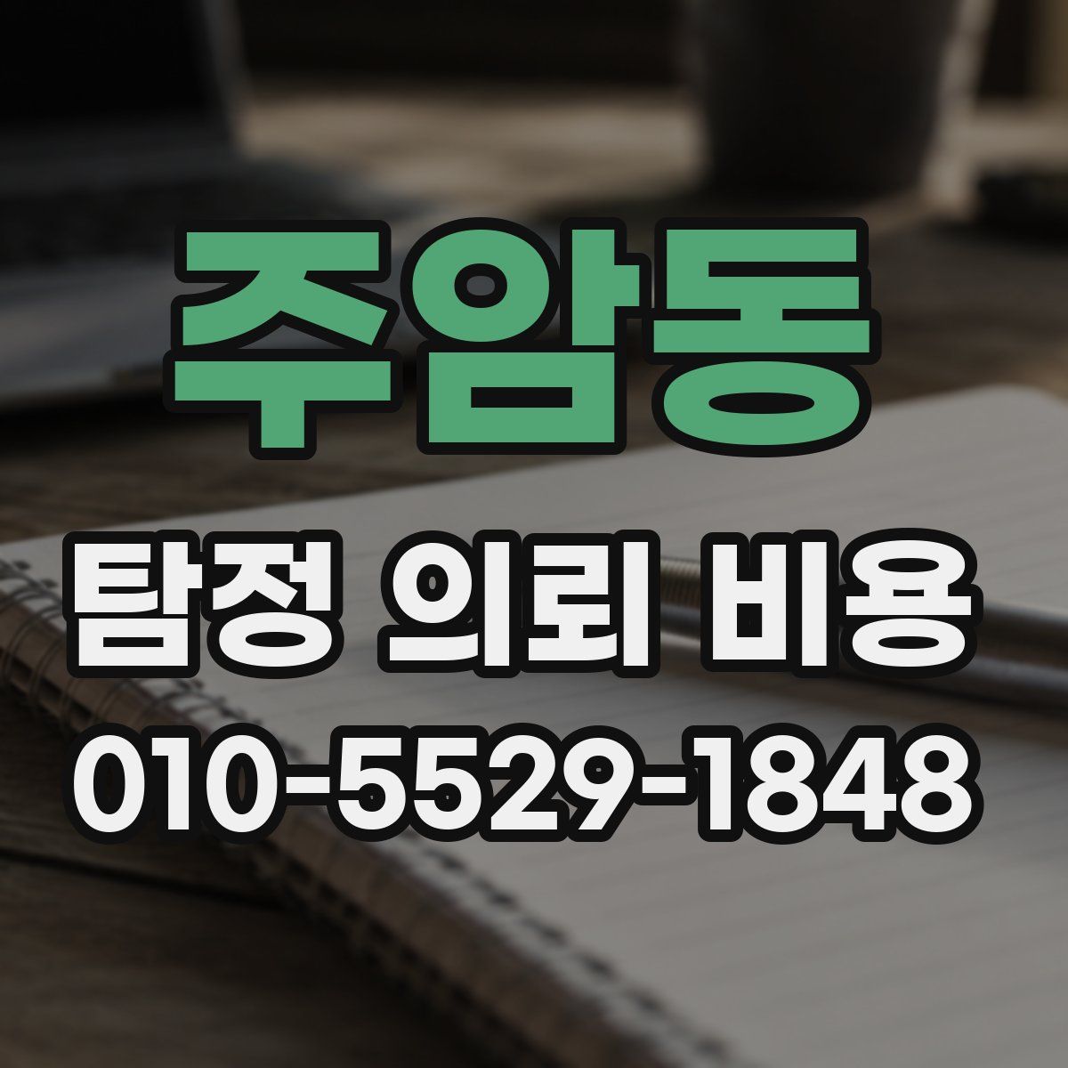주암동 탐정 의뢰 비용