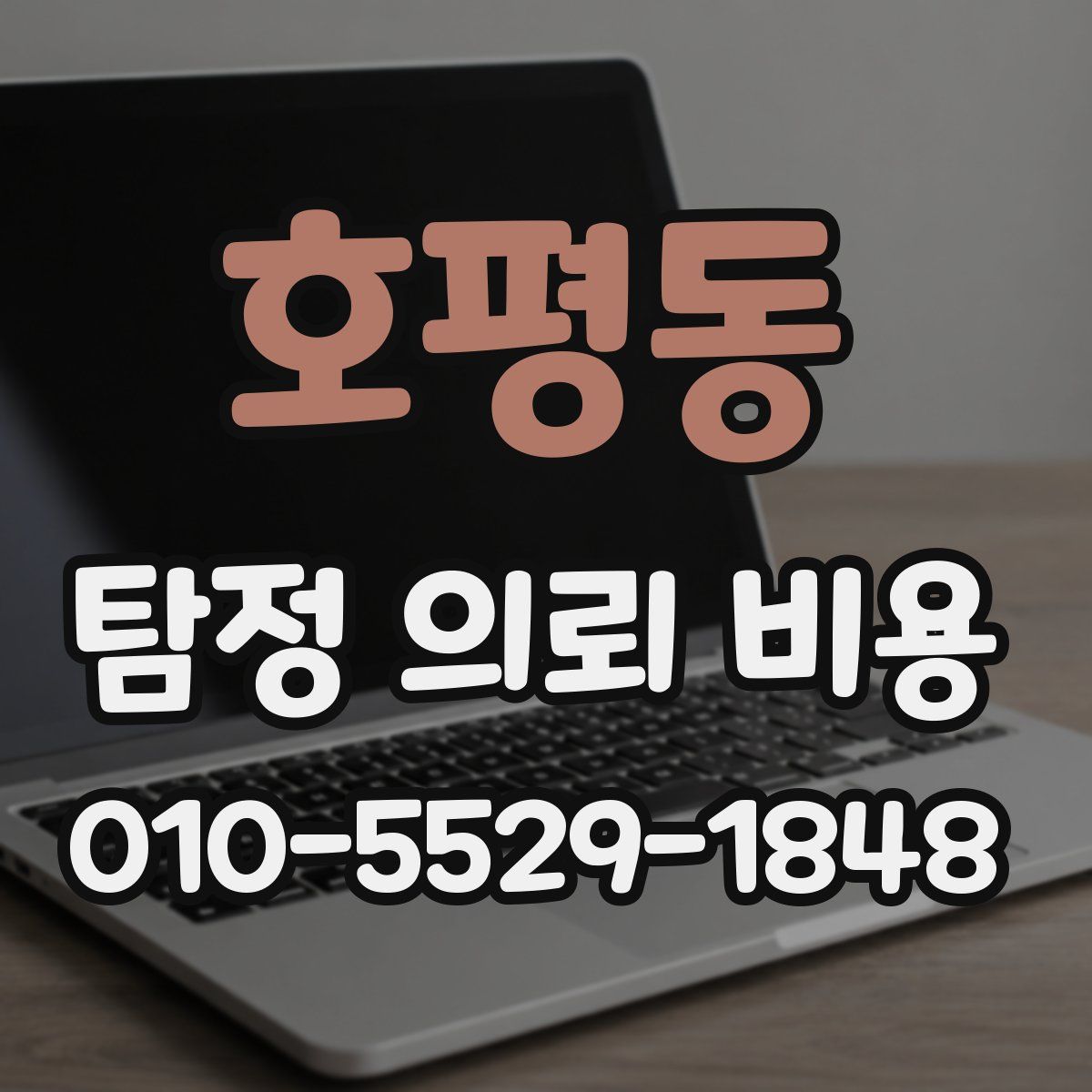 호평동 탐정 의뢰 비용