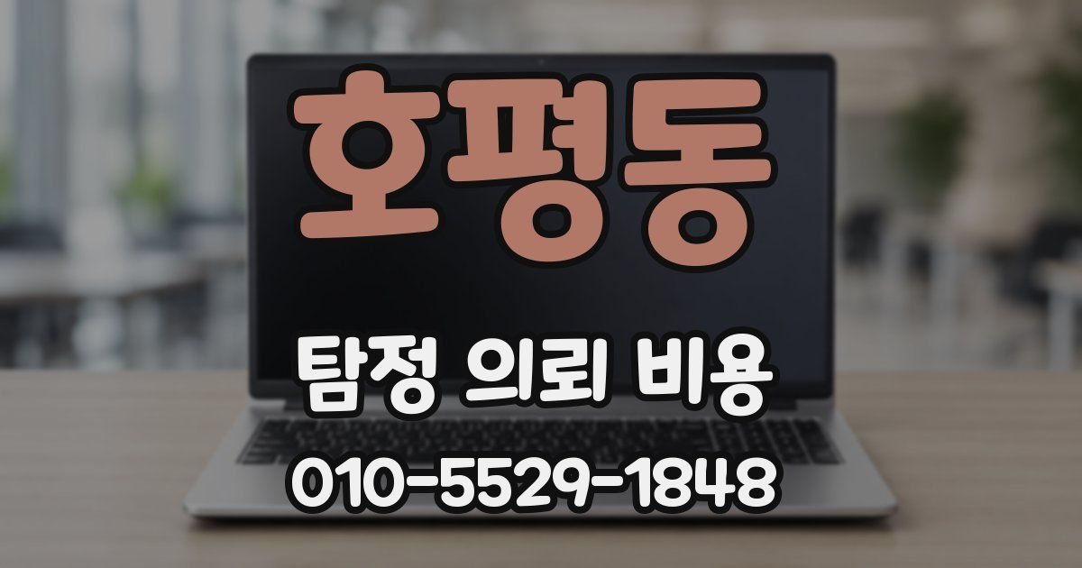 호평동 탐정 의뢰 비용