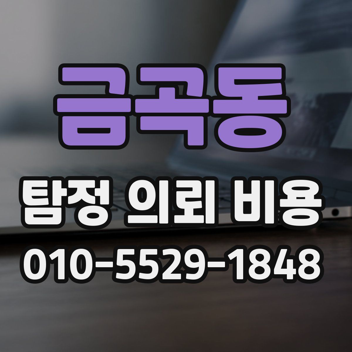 금곡동 탐정 의뢰 비용