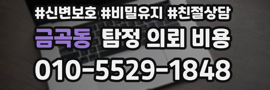 금곡동 탐정 의뢰 비용