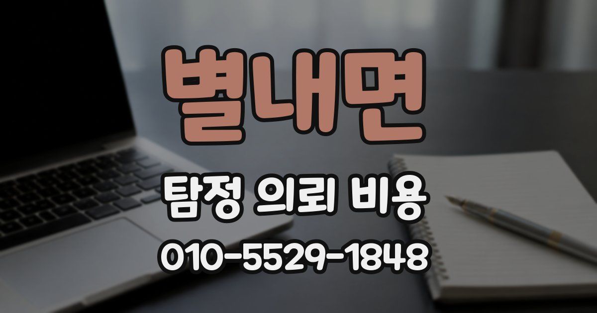 별내면 탐정 의뢰 비용