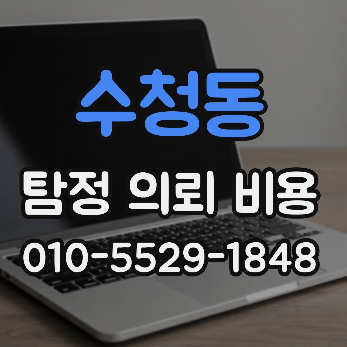 수청동 탐정 의뢰 비용