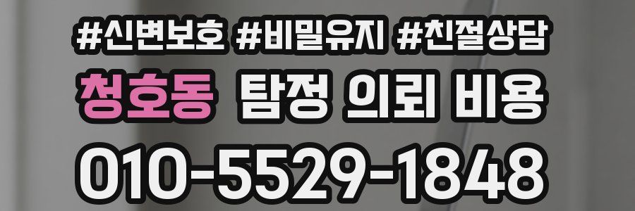 청호동 탐정 의뢰 비용