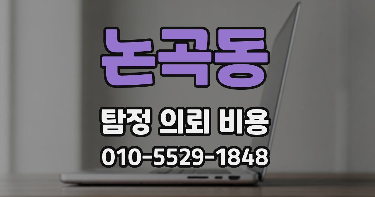 논곡동 탐정 의뢰 비용