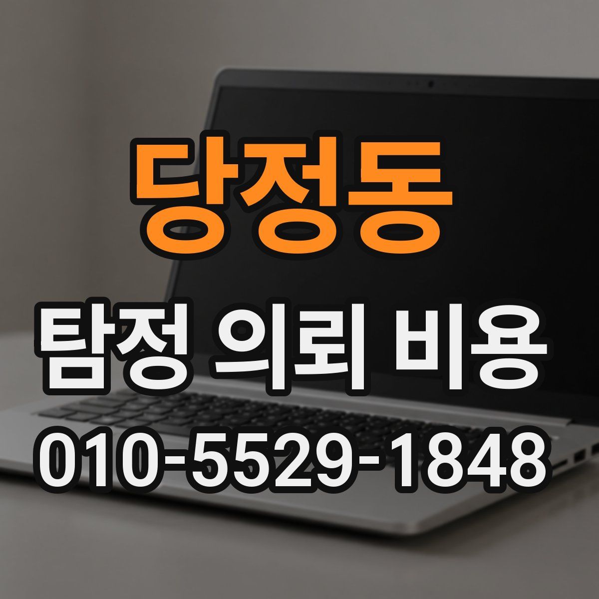 당정동 탐정 의뢰 비용