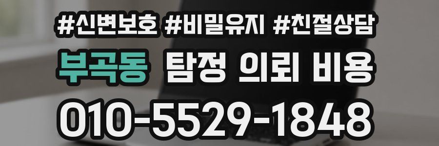부곡동 탐정 의뢰 비용