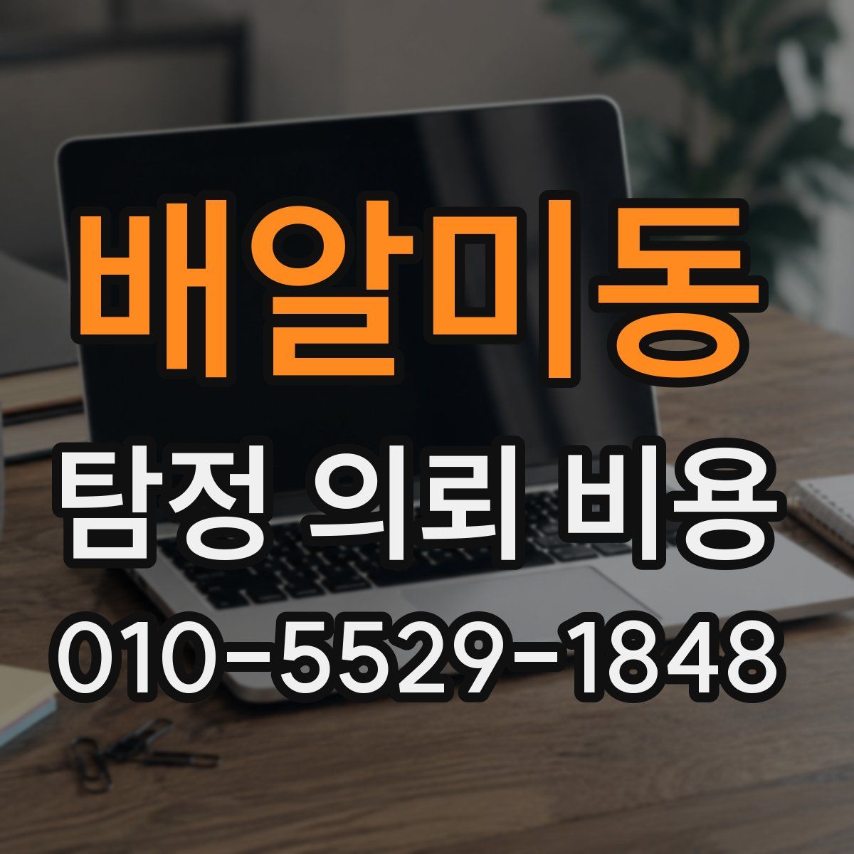 배알미동 탐정 의뢰 비용