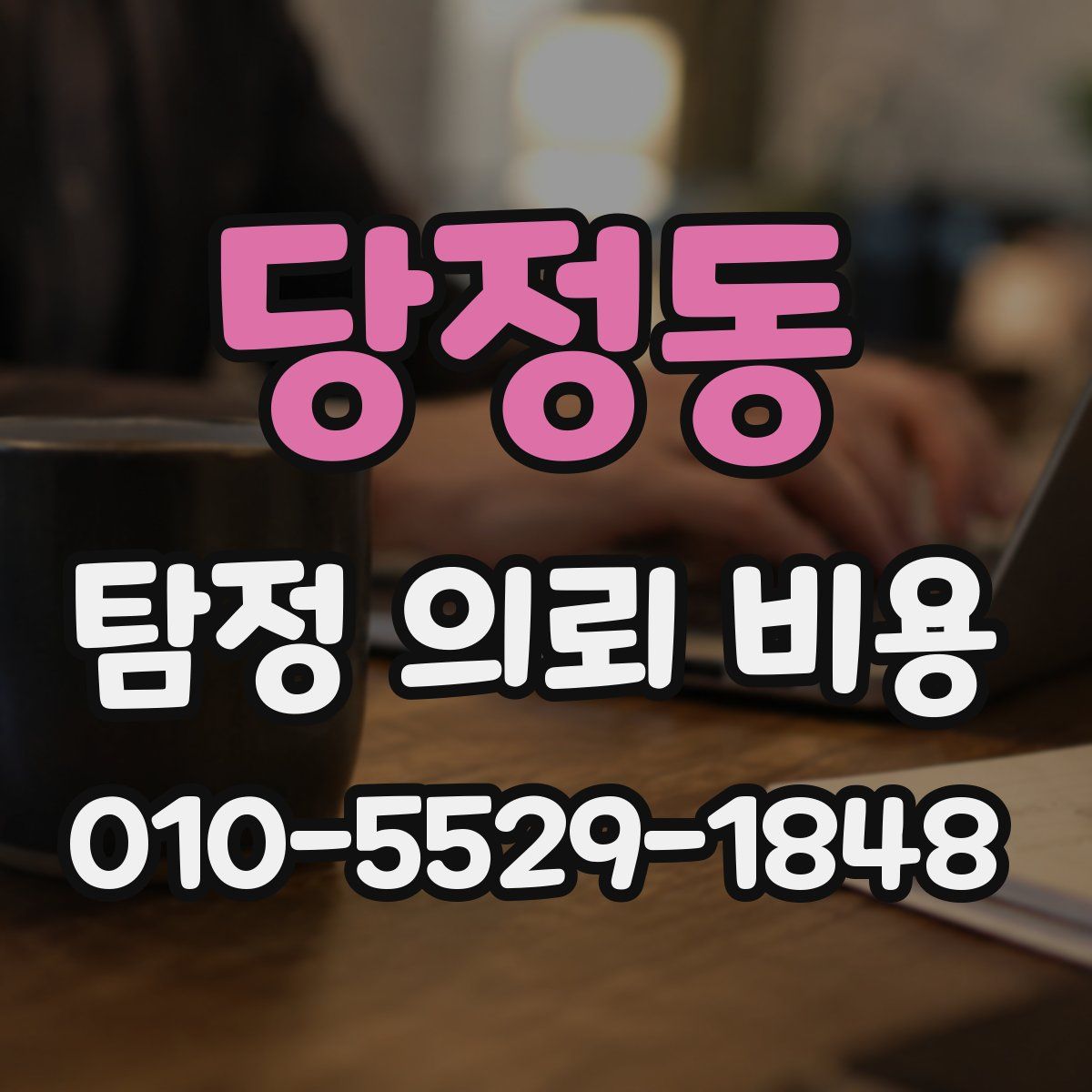 당정동 탐정 의뢰 비용