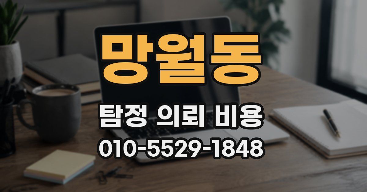 망월동 탐정 의뢰 비용
