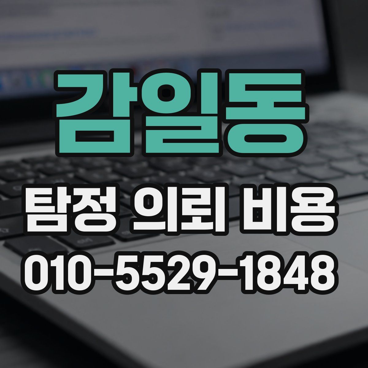 감일동 탐정 의뢰 비용