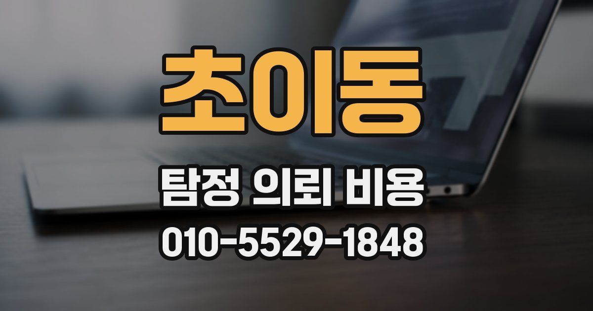 초이동 탐정 의뢰 비용