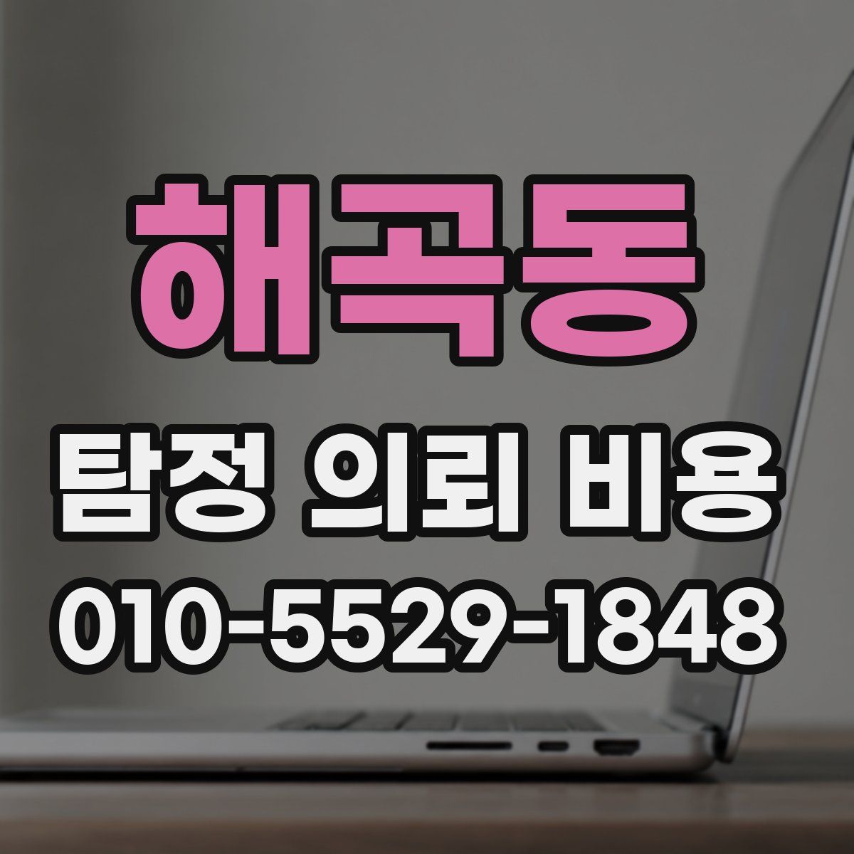 해곡동 탐정 의뢰 비용