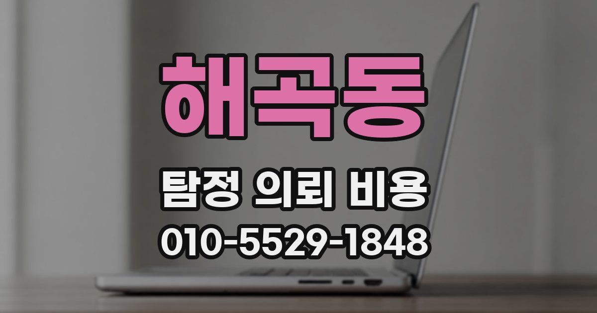 해곡동 탐정 의뢰 비용