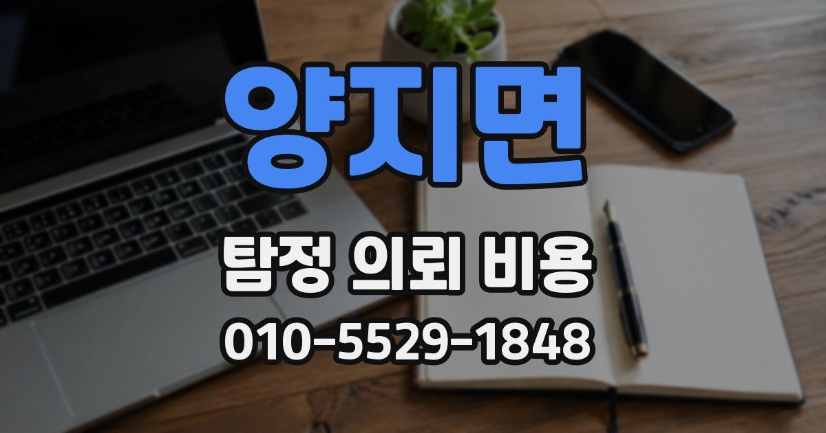 양지면 탐정 의뢰 비용