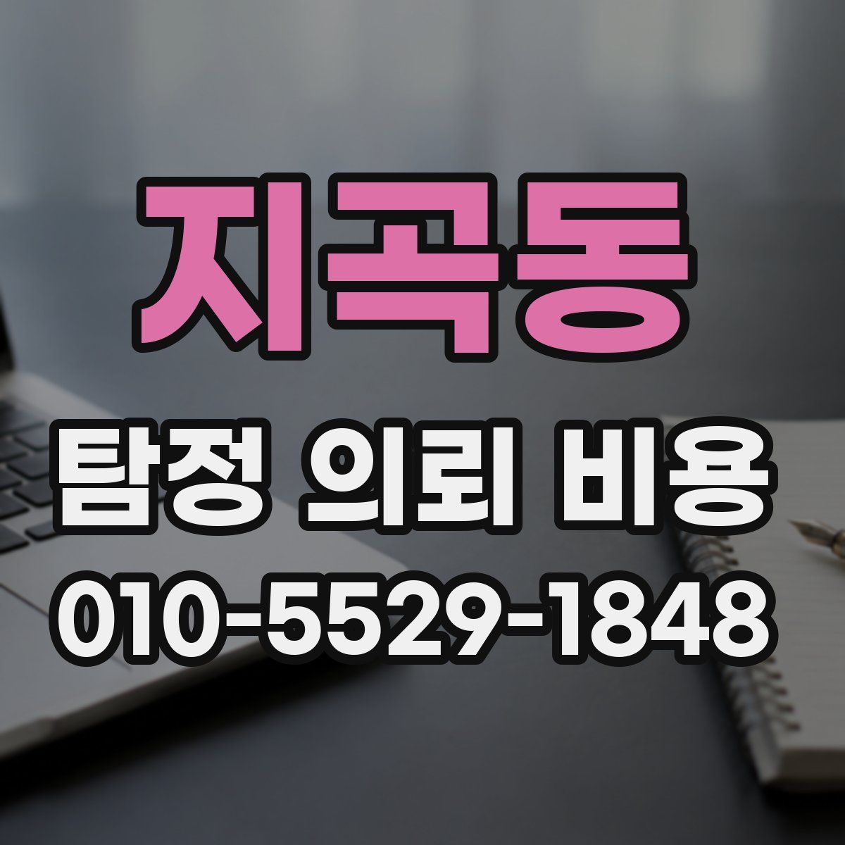 지곡동 탐정 의뢰 비용