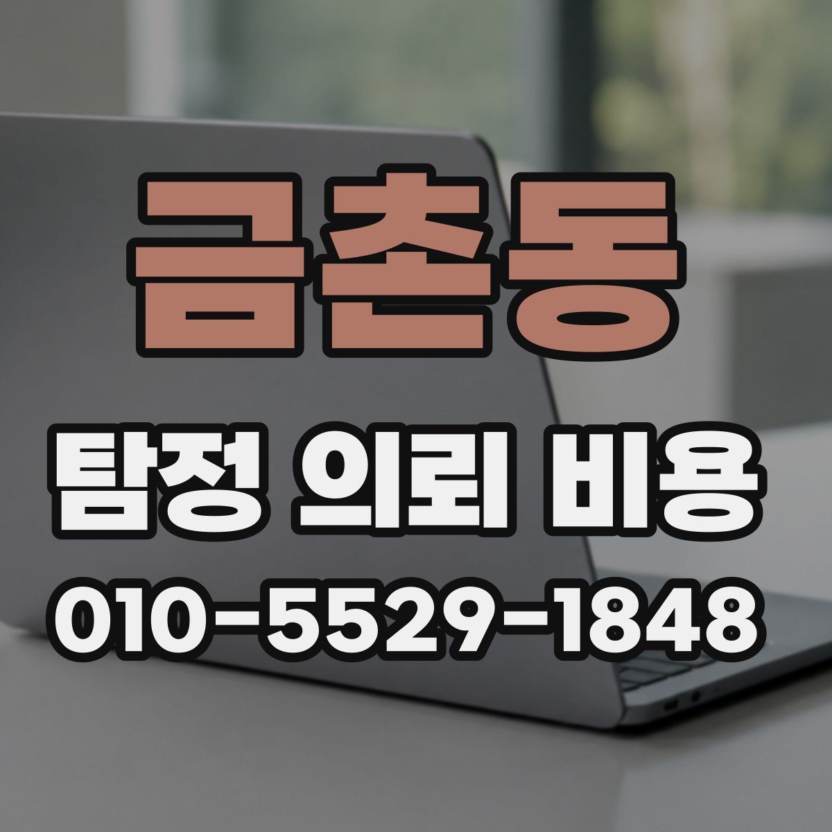 금촌동 탐정 의뢰 비용