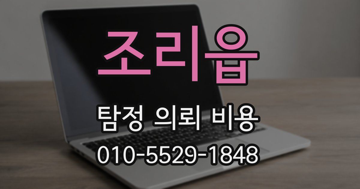 조리읍 탐정 의뢰 비용